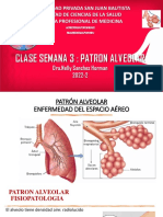 3 Clase Usjb 2021-2 Patron Alveolar, Atelectasico, Pleural