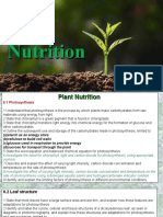 Nutrition in Plants