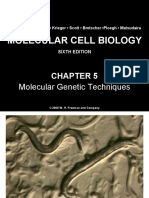 Chapter5 Moleculargenetictechniques 140105090539 Phpapp02
