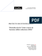 PROYECTO DE INVESTIGACION Microbio RVOF Corregidou