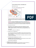 TALLER 1 Bacterias