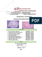 Informe s3 Pato Sem Eso24-7