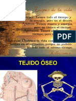 Tejido Oseo Teoria