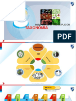 Clasificación biológica de JORGE FAILOC