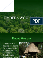 Comarca Embera Wounaan