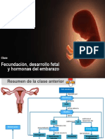 Inicio de La Vida - Periodo Fetal