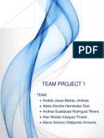 Team Proyect 1