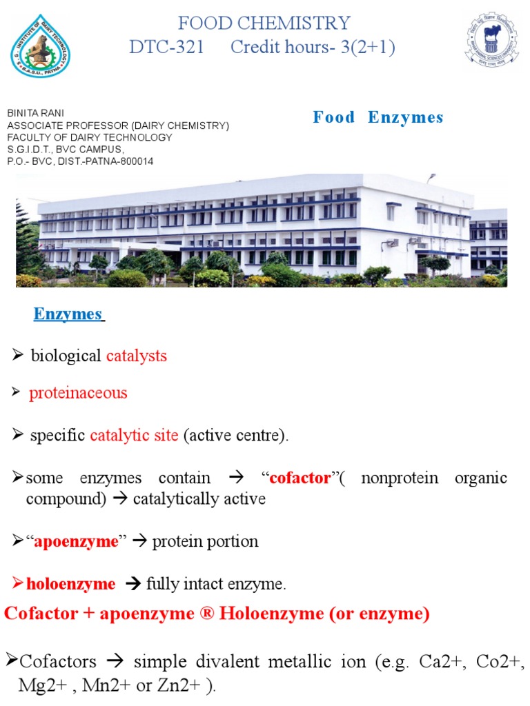 Food Enzyme PDF Enzyme Active Site