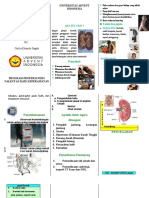 Leaflet CKD Doc