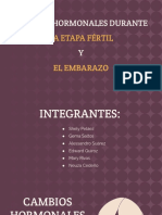 Cambios Hormonales Durante La Etapa Fértil y El Embarazo