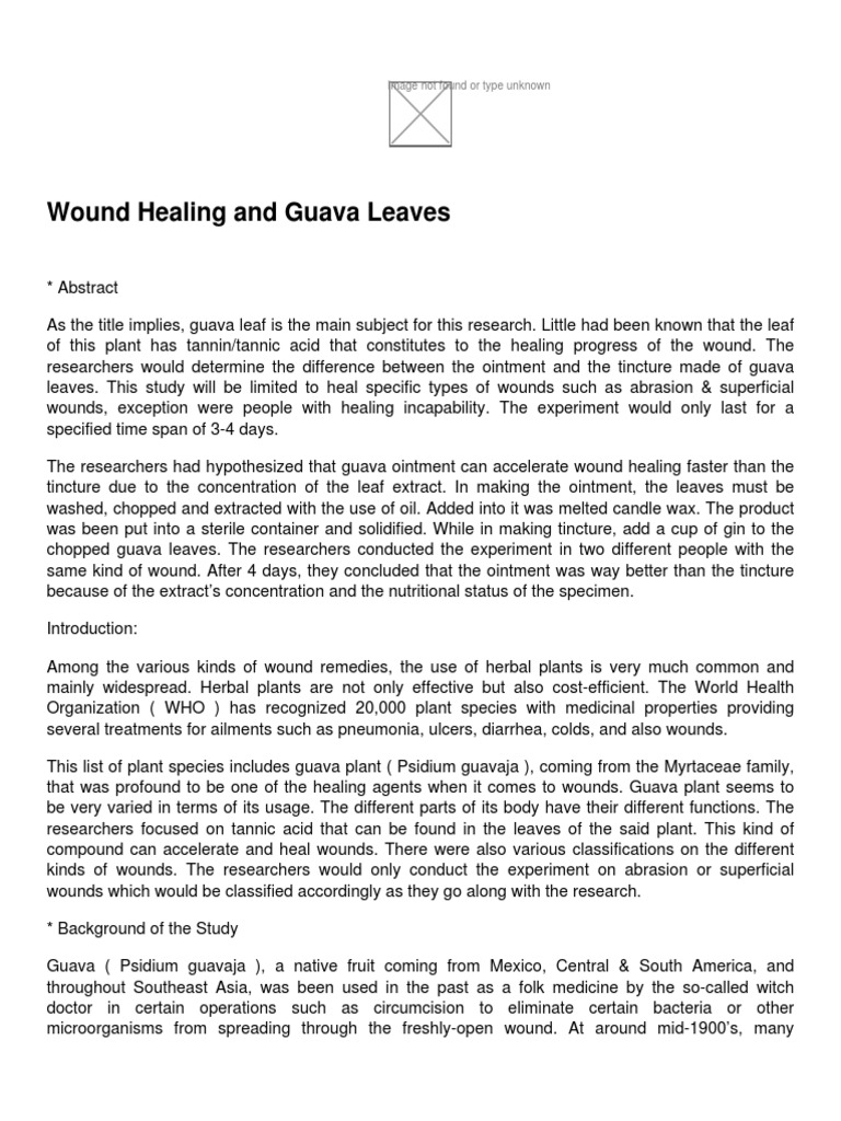 Wound Healing and Guava Leaves | PDF | Wound | Healing