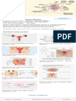 Vestibula Vagina - Google Penelusuran