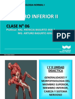 Clase 6 Morfofisiologia 2022