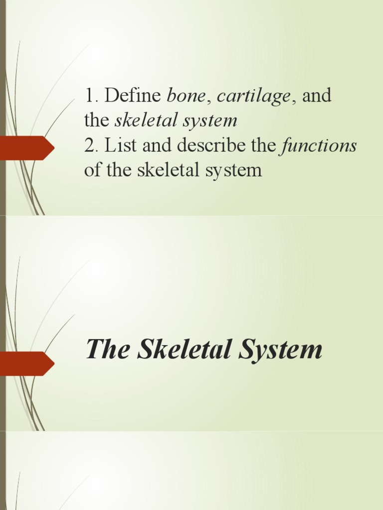 SKELETAL DEFINITION MEANING visual data 2