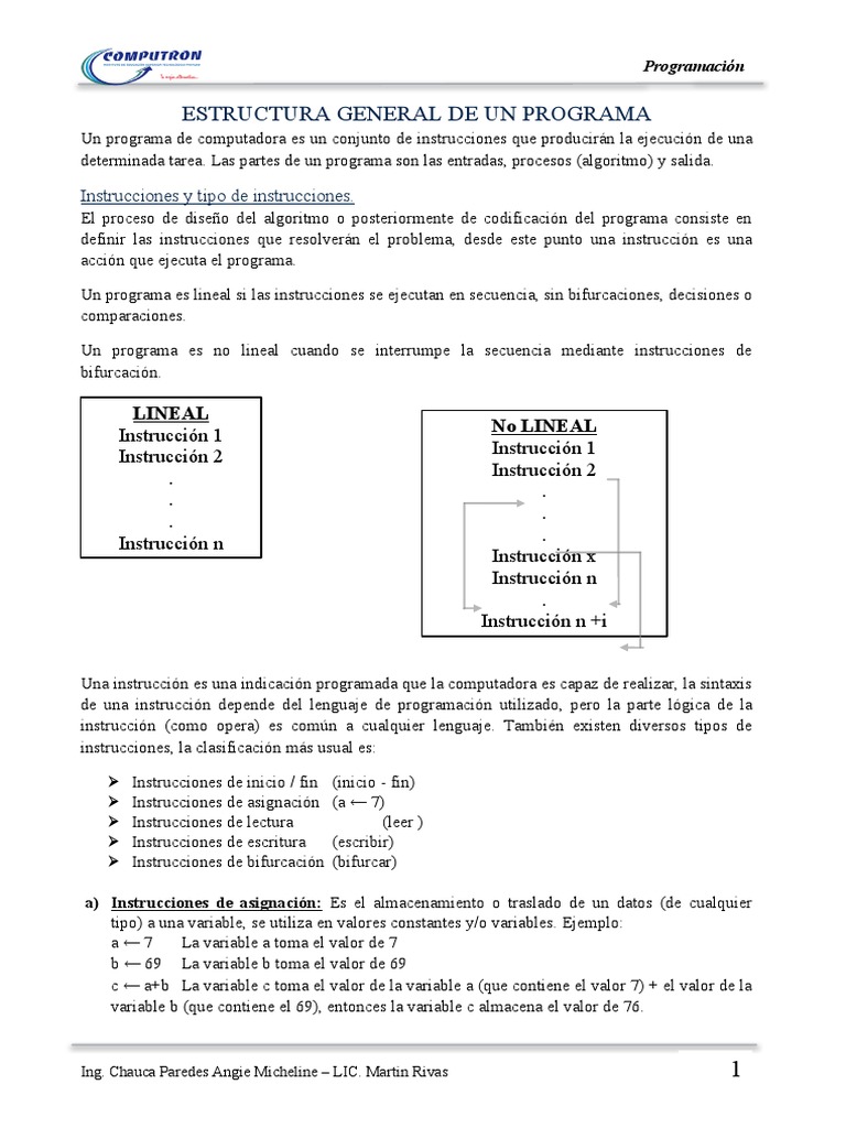 Estructura y Tipos de Instrucciones en Programación | PDF ...