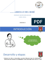 Desarrollo Del Bebé