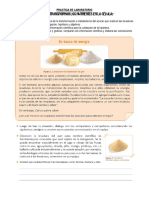 PRACTICA DE LABORATORIO - Metabolismo - 4º