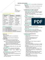 Classification of Nerve Injuries: Klumpke'S Palsy