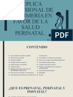 1.1replica Profesional de La Salud Perinatal