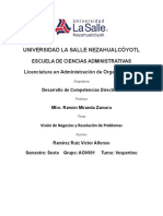 Competencias de Vision de Negocios y Resolucion de Problemas