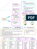 Tema 2 Las Plantas y Los Animales