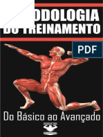PDF Metodologia Do Treinamento 1 DL