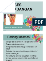 Proses Peradangan