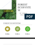Forest Ecosystem Ansh