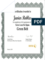 20091006 - Xerox - Lean Six Sigma Green Belt