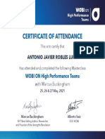 WOBI - High Performance Teams - Certificate - Ib306e