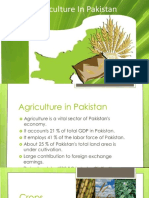 Agricultural Products of Pakistan