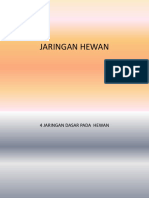 Jaringan Hewan