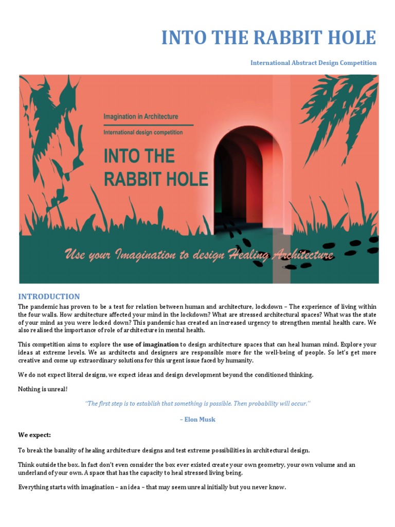 Into The Rabbit Hole - Brief | PDF | Mind | Imagination