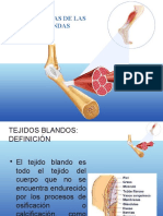 Lesion de Tejidos Blandos