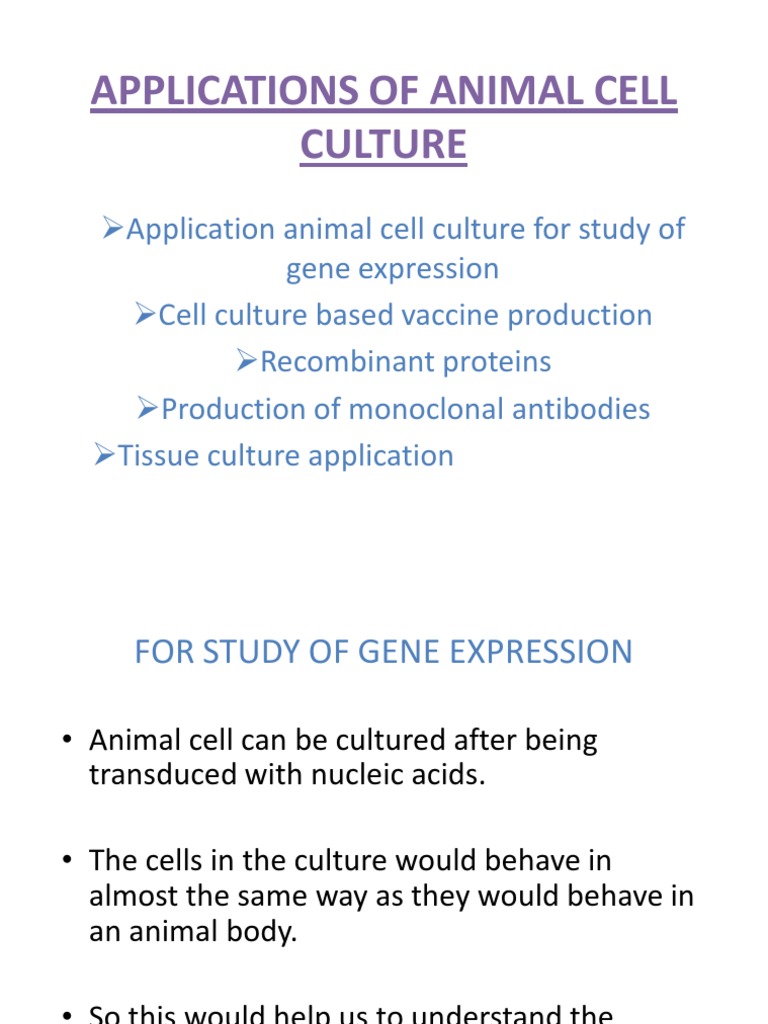 Applications Of Animal Cell Culture Pdf Monoclonal Antibody Cell Culture