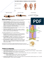 Introducción a la anatomía humana y nomenclatura anatómica