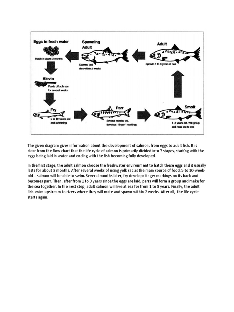 The Given Diagram Gives Information About The Development of Salmon