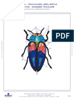 Https WWW - Dmc.com Media DMC Com Patterns PDF PAT0480 Insects - Tricoloured Jewel Bettle