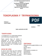 Toxo y Tripanosoma Presentacion