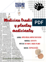 1A_Nimsi Abigail Animas Barradas_Investigación de plantas medicinales