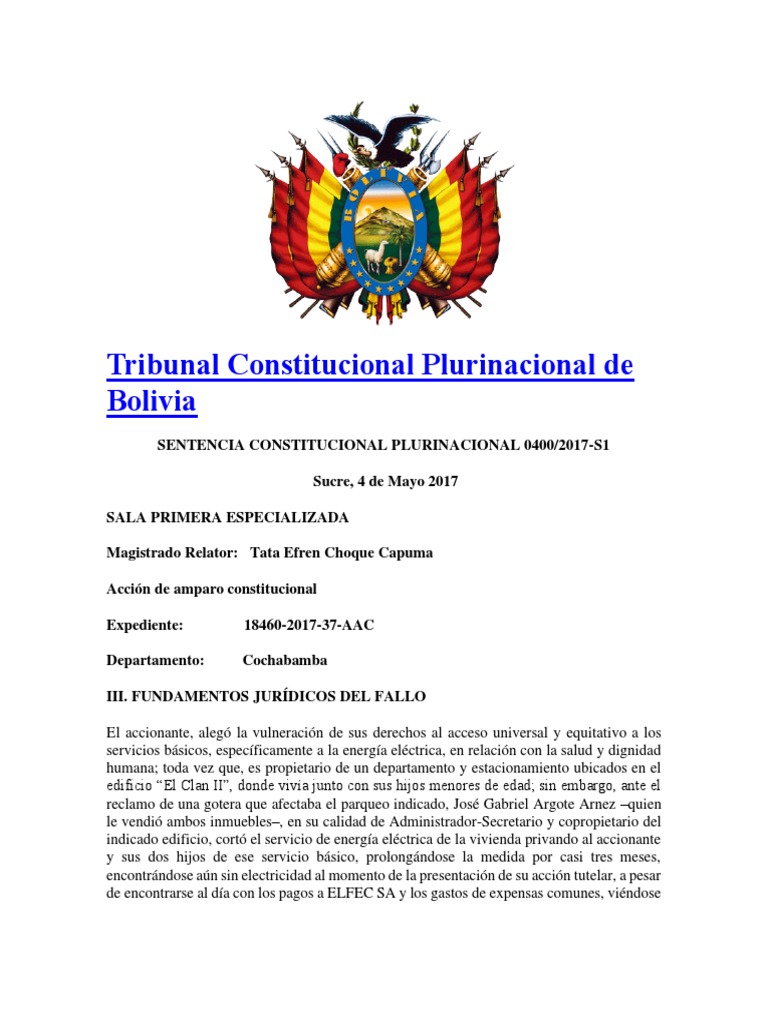 Tribunal Constitucional Plurinacional de Bolivia | Descargar gratis PDF