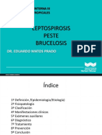 Enfermedades zoonóticas: Leptospirosis, peste y brucelosis