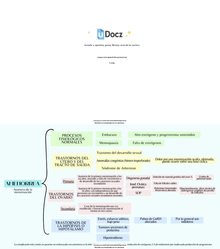 Amenorrea PDF Menstruación Medicina CLINICA