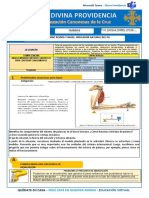 Trabajo de Física-Química