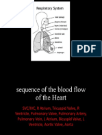 Additional Notes Circulatory and Respiratory System