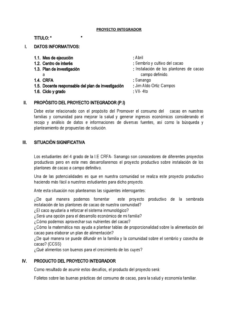 Proyecto Integrador | PDF | Evaluación | Aprendizaje