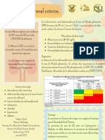 Insuficiencia Renal Crónica.