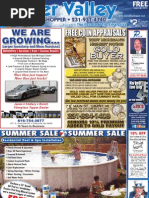 River Valley News Shopper, July 11, 2011 