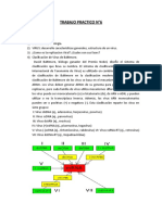 TP N6 Microbiologia