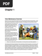 Valve Greasing Best Practices Guide | PDF | Valve | Lubricant